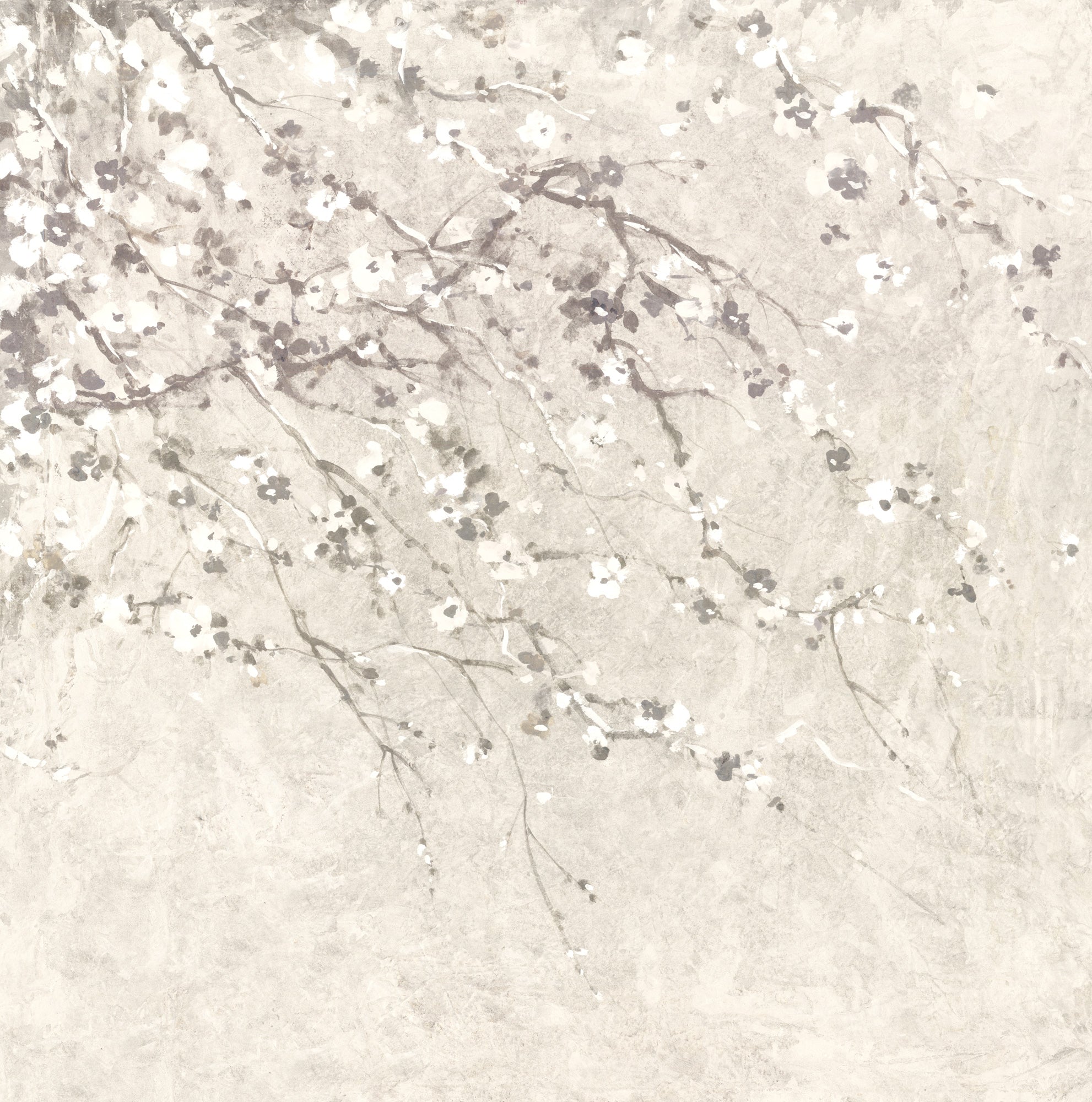 Blossom Season - Off White